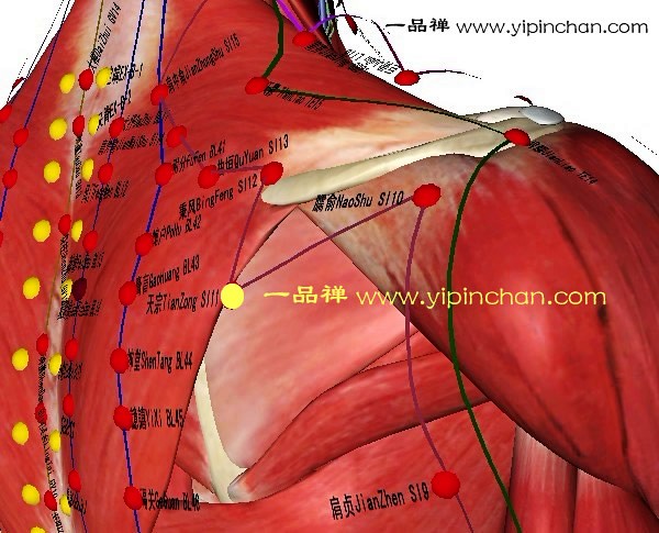 小儿推拿培训|推拿按摩培训